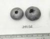 Click for 1 image(s) for this accession. FRUIT